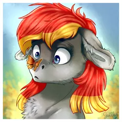 Size: 4200x4200 | Tagged: safe, artist:gaelledragons, derpibooru import, oc, oc:arian blaze, butterfly, pony, :<, bust, commission, floppy ears, lepidopterophobia, scared, solo, wide eyes