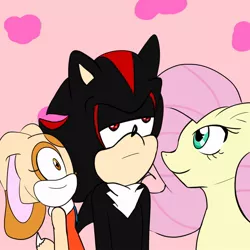 Size: 1024x1024 | Tagged: artist:soul-yagami64, cream the rabbit, crossover, derpibooru import, fluttershy, safe, shadow the hedgehog, sonic the hedgehog (series)