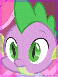 Size: 227x300 | Tagged: animated, clothes, cropped, derpibooru import, dragon, edit, edited screencap, gif, green isn't your color, implied shipping, implied sparity, implied straight, male, rarity, safe, screencap, shirt, solo, spike, subtle as a train wreck