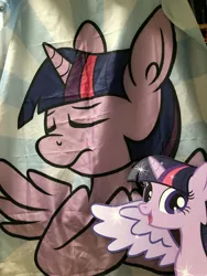 Size: 3024x4032 | Tagged: safe, derpibooru import, twilight sparkle, twilight sparkle (alicorn), alicorn, pony, bronycon, bronycon 2019, cardboard cutout, flag, promotional art, solo, standee