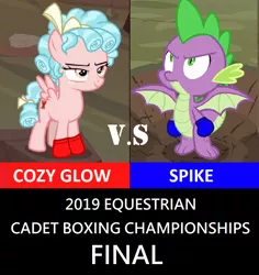 Size: 856x908 | Tagged: boxing, cozy glow, derpibooru import, edit, edited screencap, frenemies (episode), imminent pain, molt down, safe, screencap, spike, sports, this will end in pain, versus