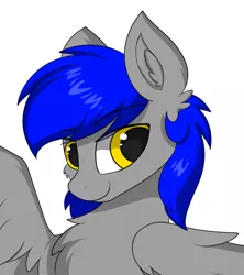 Size: 800x900 | Tagged: safe, artist:llhopell, derpibooru import, oc, oc:hope(llhopell), unofficial characters only, pegasus, pony, chest fluff, eyebrows visible through hair, simple background, solo