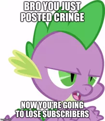 Size: 500x574 | Tagged: artist:tarkan809, bro you just posted cringe you're going to lose subscriber, caption, derpibooru import, editor:tarkan809, image macro, imgflip, meme, safe, spike, spike is not amused, text, unamused