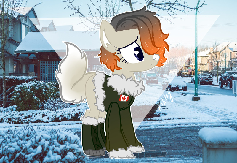 Size: 1600x1097 | Tagged: safe, artist:esgest, derpibooru import, oc, oc:snowslide, unofficial characters only, earth pony, pony, blank flank, blaze (coat marking), boots, bush, canada, canadian, canadian flag, car, clothes, female, grass, hair over one eye, jacket, mare, markings, parka, shoes, snow, solo, street