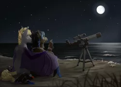 Size: 2800x2000 | Tagged: source needed, safe, artist:marinavermilion, derpibooru import, oc, oc:night striker, oc:shadow (sh-1014), unofficial characters only, pony, beach, hug, moon, night, ocean, scenery, stargazing, stars, telescope, wife, winghug