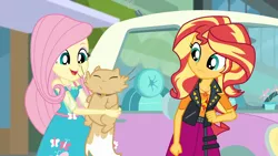 Size: 1920x1080 | Tagged: safe, derpibooru import, screencap, fluttershy, sunset shimmer, cat, driving miss shimmer, equestria girls, equestria girls series, car, choose your own ending (season 1), cute, driving miss shimmer: fluttershy, duo, duo female, female, fluttershy's car, geode of empathy, geode of fauna, magical geodes, miss kitty, shimmerbetes, shyabetes