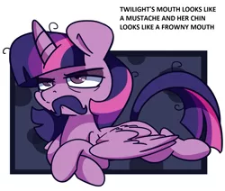 Size: 1497x1271 | Tagged: safe, artist:lou, derpibooru import, edit, edited edit, twilight sparkle, twilight sparkle (alicorn), alicorn, pony, :c, >:c, angry, cute, edit of an edit of an edit, facial hair, frown, grumpy, grumpy twilight, madorable, moustache, solo, text