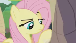 Size: 1366x768 | Tagged: safe, derpibooru import, screencap, angel bunny, fluttershy, pony, she talks to angel, body swap, don't care, female, frown, lidded eyes, looking down, mare, not fluttershy, raised eyebrow, raised hoof, solo, unamused