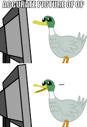 Size: 1000x1451 | Tagged: badge icon image, bird, caption, derpibooru import, duck, image macro, meta, op, open mouth, quack, reaction image, safe, simple background, smiling, solo, text, transparent background, vector