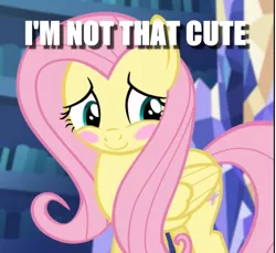 Size: 721x659 | Tagged: safe, derpibooru import, edit, edited screencap, screencap, fluttershy, pony, scare master, blatant lies, blush sticker, blushing, caption, cropped, cute, denial, i'm not cute, image macro, shyabetes, solo, text