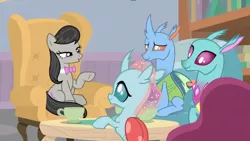 Size: 1600x900 | Tagged: safe, derpibooru import, screencap, carapace (character), ocellus, octavia melody, spiracle, changedling, changeling, earth pony, pony, a horse shoe-in, bookshelf, chair, conference, cup, female, mare, sitting, table, teacup, teenager