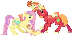 Size: 1100x550 | Tagged: safe, artist:theredbeauty, derpibooru import, big macintosh, fluttershy, oc, oc:apple blossom, oc:apple harvest, oc:botswana "peach" cornu, oc:cool cat, oc:flutter butter, oc:honeycrisp, oc:petunia smith, earth pony, pegasus, pony, baby, baby pony, base used, blank flank, braid, braided tail, button eyes, colored wings, colored wingtips, colt, family, female, filly, fluttermac, freckles, male, mare, missing accessory, offspring, pacifier, parent:big macintosh, parent:fluttershy, parents:fluttermac, pony hat, shipping, simple background, stallion, straight, white background, wings