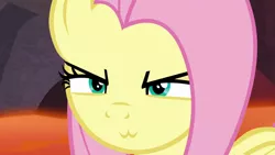 Size: 1920x1080 | Tagged: safe, derpibooru import, edit, edited screencap, screencap, fluttershy, pony, sweet and smoky, :3, >:3, catface, solo