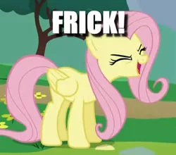 Size: 324x285 | Tagged: safe, derpibooru import, edit, edited screencap, screencap, fluttershy, pegasus, pony, sonic rainboom (episode), caption, cropped, eyes closed, female, flutteryay, frick, image macro, impact font, mare, solo, text, yay