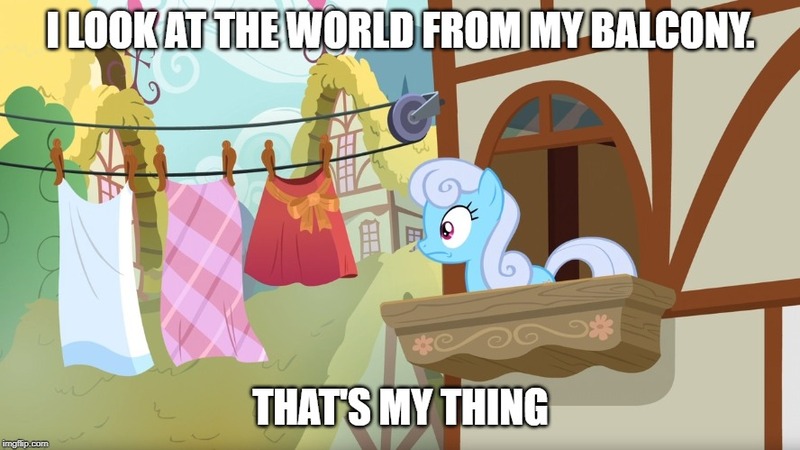 Size: 888x499 | Tagged: clothes line, derpibooru import, edit, edited screencap, linky, meme, safe, screencap, shoeshine, shoeshine's window, solo, text, the big mac question