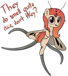Size: 3374x3791 | Tagged: safe, artist:czu, derpibooru import, oc, unnamed oc, unofficial characters only, bug pony, insect, moth, mothpony, original species, coremata, i can't believe it's not badumsquish, male