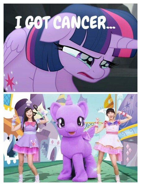 Size: 3106x4096 | Tagged: alicorn, cancer (disease), derpibooru import, edit, edited screencap, human, irl, irl human, my little pony: the movie, photo, safe, screencap, taiwan, twilight sparkle, twilight sparkle (alicorn)