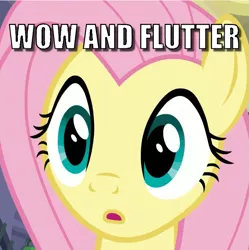 Size: 697x699 | Tagged: safe, derpibooru import, edit, edited screencap, screencap, fluttershy, pegasus, pony, fake it 'til you make it, bust, caption, cropped, female, image, image macro, mare, png, portrait, pun, solo, text, visual pun, wow