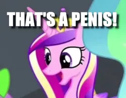 Size: 335x263 | Tagged: suggestive, derpibooru import, edit, edited screencap, screencap, princess cadance, princess celestia, spike, equestria games (episode), caption, cropped, eyes on the prize, female, happy, image, image macro, implied penis, jpeg, male, mare, open mouth, princess cadance is always horny, smiling, solo focus, text, that's a penis