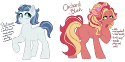 Size: 6000x3000 | Tagged: safe, artist:azure-art-wave, derpibooru import, oc, oc:orchard blush, unofficial characters only, earth pony, pony, female, mare, oc;platinum, offspring, parent:cherry jubilee, parent:coco pommel, parent:flam, parent:silver shill, parents:cherryflam, parents:cocoshill, simple background, transparent background