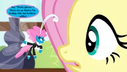 Size: 800x450 | Tagged: breezie, derpibooru import, edit, edited screencap, fluttershy, fluttershy's cottage, g3, g3 to g4, generation leap, it ain't easy being breezies, safe, screencap, seabreeze, speech, speech bubble, talking, the princess promenade