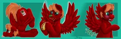 Size: 1280x417 | Tagged: safe, artist:saxpony, derpibooru import, oc, oc:score chaser, pegasus, pony, drool, food, male, pomf, spread wings, stallion, taco, telegram (software), telegram sticker, wingboner, wings