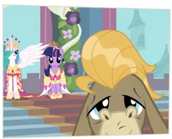 Size: 1920x1562 | Tagged: alicorn, big crown thingy, clothes, coronation dress, cranky doodle donkey, derpibooru import, dress, edit, edited screencap, element of magic, jewelry, photo, princess celestia, regalia, safe, screencap, slice of life (episode), twilight sparkle, twilight sparkle (alicorn)