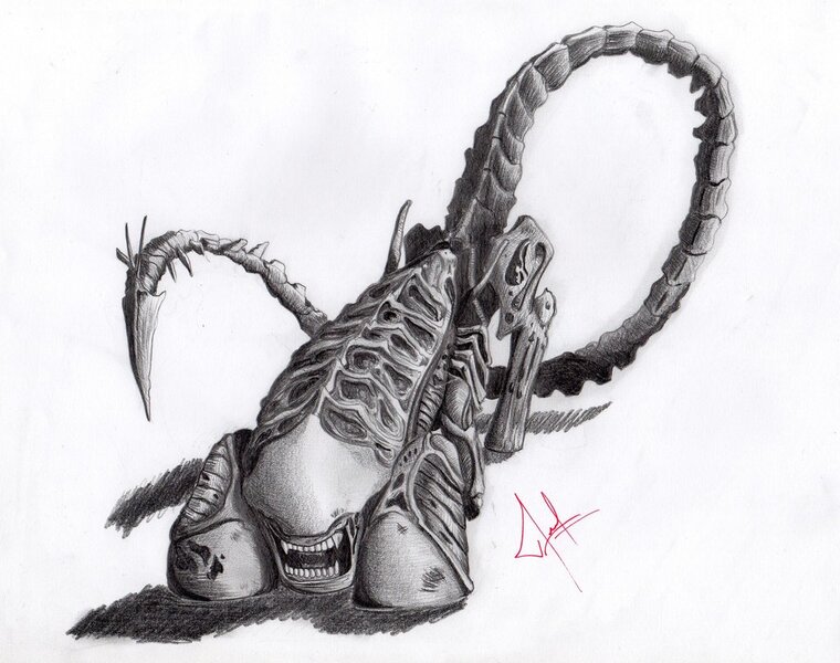 Size: 1024x808 | Tagged: safe, artist:raindeimos, derpibooru import, ponified, alien, pony, xenomorph, alien (franchise), canines, image, jpeg, male, monochrome, prehensile tail, sharp tail, solo, solo male