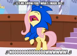 Size: 642x464 | Tagged: safe, artist:soul-yagami64, derpibooru import, edit, edited screencap, screencap, fluttershy, pegasus, pony, green isn't your color, clothes, cosplay, costume, crossover, song reference, sonic heroes, sonic the hedgehog, sonic the hedgehog (series)