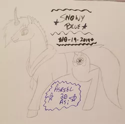 Size: 1632x1626 | Tagged: safe, artist:asriel20asi, derpibooru import, oc, oc:snowy blue, pony, unicorn, clothes, coco's man, gift art, hoodie, male, stallion, sweatshirt, traditional art