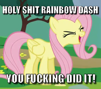 Size: 324x285 | Tagged: safe, derpibooru import, edit, edited screencap, screencap, fluttershy, pegasus, pony, sonic rainboom (episode), caption, cheering, cropped, eyes closed, female, flutteryay, image macro, impact font, mare, solo, text, vulgar, yay