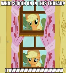 Size: 500x557 | Tagged: applejack, c:, caption, cute, daaaaaaaaaaaw, derpibooru import, image macro, reaction image, safe, screencap, smiling, text, the show stoppers, what's going on in this thread, window