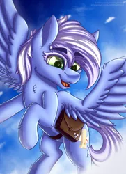 Size: 1500x2075 | Tagged: safe, artist:midnightsix3, derpibooru import, oc, oc:holly (deltauraart), pegasus, pony, bag, cloud, female, flying, mare, saddle bag, sky, smiling