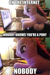 Size: 639x959 | Tagged: caption, computer, derpibooru import, hasbro, image macro, internet, irl, laptop computer, meme, on the internet nobody knows you're a dog, photo, plushie, ponyhoof, safe, text, twilight sparkle