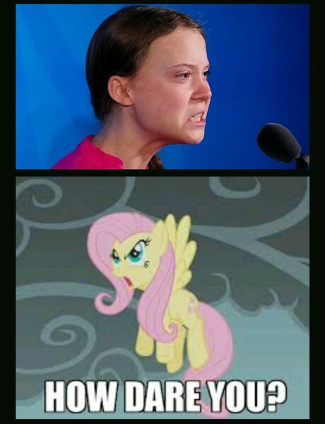 Size: 943x1230 | Tagged: angry, caption, derpibooru import, dragonshy, edit, edited screencap, female, fluttershy, flying, greta thunberg, how dare you?, human, image macro, irl, irl human, mare, pegasus, photo, safe, screencap, text