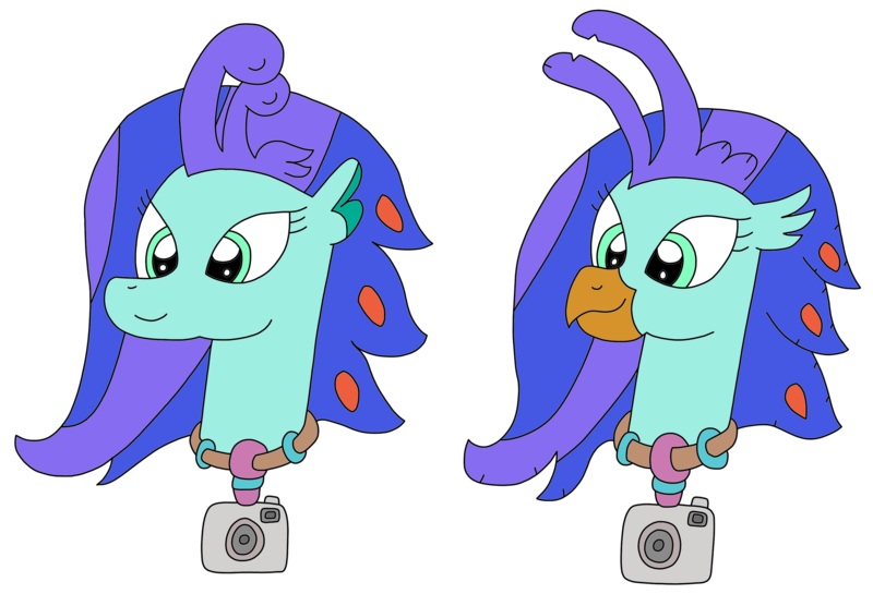 Size: 3108x2119 | Tagged: artist:supahdonarudo, bust, camera, classical hippogriff, derpibooru import, head, hippogriff, jewelry, necklace, oc, oc:sea lilly, safe, seapony (g4), simple background, transparent background, unofficial characters only