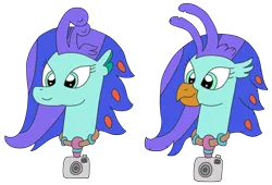 Size: 3108x2119 | Tagged: artist:supahdonarudo, bust, camera, classical hippogriff, derpibooru import, head, hippogriff, jewelry, necklace, oc, oc:sea lilly, safe, seapony (g4), simple background, transparent background, unofficial characters only