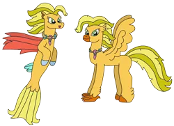 Size: 2784x2013 | Tagged: safe, artist:supahdonarudo, derpibooru import, oc, oc:wave catcher, unofficial characters only, classical hippogriff, hippogriff, seapony (g4), hippogriff oc, jewelry, necklace, simple background, story included, transparent background