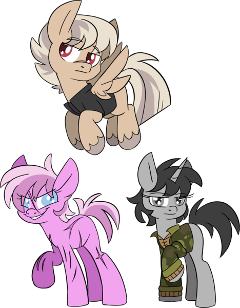 Size: 2527x3243 | Tagged: safe, artist:taaffeiite, derpibooru import, oc, oc:deathwish, oc:dossier, oc:terminal velocity, unofficial characters only, earth pony, pegasus, unicorn, fanfic:shadow of equestria, clothes, fanfic art, female, male, mare, scar, simple background, stallion, transparent background, trio, unshorn fetlocks