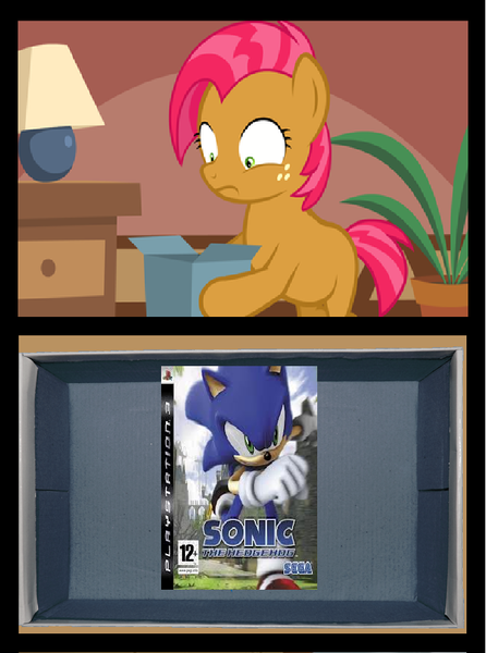 Size: 651x876 | Tagged: safe, derpibooru import, babs seed, bad gift meme, crossover, exploitable meme, image, meme, png, sonic 06, sonic the hedgehog, sonic the hedgehog (series)