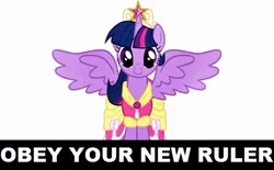 Size: 510x317 | Tagged: safe, derpibooru import, twilight sparkle, twilight sparkle (alicorn), alicorn, pony, magical mystery cure, obey