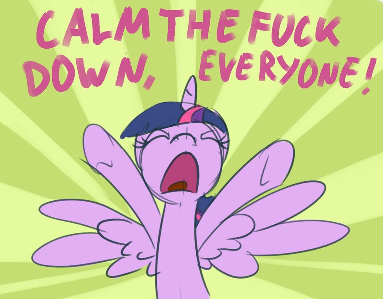 Size: 1280x1000 | Tagged: alicorn, alicorn drama, artist:derkrazykraut, derpibooru import, drama, magical mystery cure, safe, solo, text, twilight sparkle, twilight sparkle (alicorn), vulgar, yelling