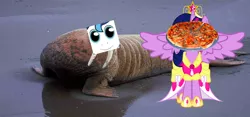 Size: 1112x519 | Tagged: safe, artist:wollap, derpibooru import, twilight sparkle, twilight sparkle (alicorn), alicorn, pony, walrus, female, food, mare, meme, pizza, twily face, wat