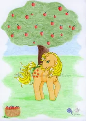 Size: 1423x2000 | Tagged: apple, applejack (g1), artist:larrachersan, derpibooru import, food, g1, safe, traditional art