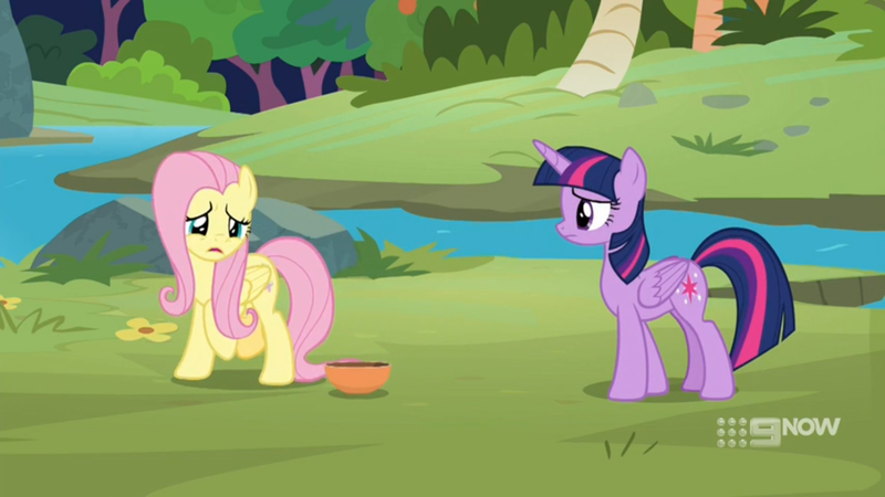 Size: 1600x900 | Tagged: safe, derpibooru import, screencap, fluttershy, twilight sparkle, twilight sparkle (alicorn), alicorn, pony, memnagerie, spoiler:memnagerie, spoiler:mlp friendship is forever, 9now, bowl, duo, outdoors, river, sad, watermark