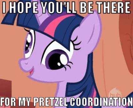 Size: 424x346 | Tagged: safe, derpibooru import, twilight sparkle, twilight sparkle (alicorn), alicorn, pony, acorn drama, caption, derp, female, image macro, mare, meme, pretzel coordination, text