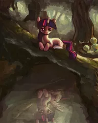 Size: 1860x2322 | Tagged: safe, artist:nayshie, derpibooru import, twilight sparkle, twilight sparkle (alicorn), alicorn, pony, duality, female, mare, reflection, solo