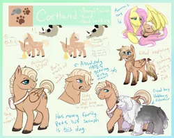 Size: 1920x1525 | Tagged: safe, artist:amiookamiwolf, derpibooru import, fluttershy, oc, oc:cortland, oc:entropy, dog, hybrid, pony, broom, colt, cuddling, female, freckles, interspecies offspring, male, messenger bag, mother and child, mother and son, mud, muddy, offspring, parent:big macintosh, parent:discord, parent:fluttershy, parent:princess celestia, parents:dislestia, parents:fluttermac, pet oc, reference sheet, stallion, tooth gap, wing hands, wings