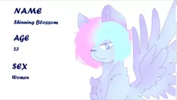 Size: 1280x720 | Tagged: safe, artist:shinningblossom12, derpibooru import, oc, oc:shining blossom, unofficial characters only, pegasus, pony, chest fluff, female, mare, one eye closed, pegasus oc, reference sheet, simple background, solo, text, white background, wings, wink