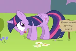 Size: 940x630 | Tagged: safe, artist:dm29, derpibooru import, edit, twilight sparkle, twilight sparkle (alicorn), alicorn, pony, copyright, female, frown, fuck the police, grass, grazing, herbivore, horses doing horse things, keep off the grass, looking back, mare, open mouth, pure unfiltered evil, secret shame, sign, silly, silly pony, solo, wide eyes